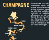 AOP Champagne Brut Robert de Pampignac - Robert de Pampignac en promo chez Intermarché Chartres à 15,90 €