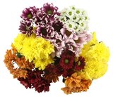 Chrysanthemen mit Santini Angebote bei REWE Brühl für 3,49 €