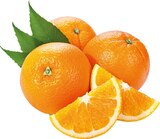 Orangen bei REWE im Erftstadt Prospekt für 2,99 €