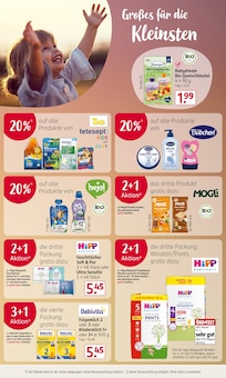 Pampers im Rossmann Prospekt "Angebotswoche KW43" mit 26 Seiten (Frankfurt (Main))