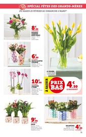 Fleurs Angebote im Prospekt "Super U" von Super U auf Seite 31