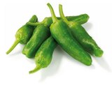 Aktuelle Gemüse Angebote bei REWE in Freiburg (Breisgau) Aktuelles Bratpaprika Angebot bei REWE in Freiburg (Breisgau) ab 1,19 €