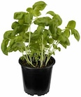 Angebot im CAP Markt Güstrow Mitte Güstrow Prospekt CAP Markt Güstrow Mitte Güstrow Prospekt mit im Angebot für 1,49 €
