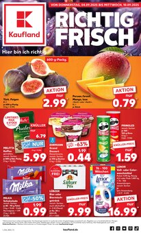 Kaufland Schönwalde Prospekt der aktuellen Woche, gültig von 04.09.2025 bis 10.09.2025 Aktueller Kaufland Schönwalde Prospekt "Aktuelle Angebote" mit 64 Seiten