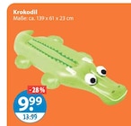 Krokodil im V-Markt Prospekt Krokodil von im aktuellen V-Markt Prospekt für 9,99 €