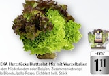 Herzstücke Blattsalat-Mix mit Wurzelballen bei EDEKA im Emmendingen Prospekt für 1,11 €