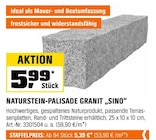 NATURSTEIN-PALISADE GRANIT „SINO“ im aktuellen Prospekt bei OBI in Babben