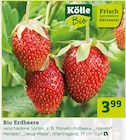 Bio Erdbeere von Kölle für 3,99 € bei Pflanzen Kölle im Angebot Bio Erdbeere von Kölle im aktuellen Pflanzen Kölle Prospekt
