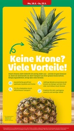 Balkonpflanzen im Penny Prospekt in Minden Aktueller Penny Prospekt mit Balkonpflanzen, "Wer günstig will, muss Penny.", Seite 6