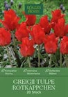 Greigii Tulpe Rotkäppchen im Angebot bei Pflanzen Kölle in Hofheim Greigii Tulpe Rotkäppchen Angebote bei Pflanzen Kölle Hofheim für 4,99 €