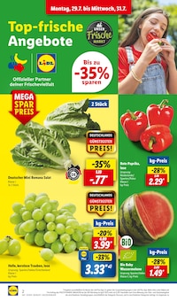 Bio Wassermelone Angebot im aktuellen Lidl Prospekt auf Seite 2