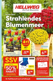 Aktueller Hellweg Zwickau Prospekt "Die Profi-Baumärkte" mit 16 Seiten