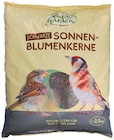 Sonnenblumenkerne im Angebot bei Wreesmann in Weimar Sonnenblumenkerne Angebote bei Wreesmann Weimar für 3,99 €