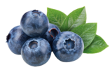 BIO HEIDELBEEREN Angebote bei REWE Bergheim für 2,49 €