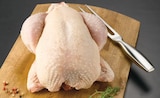 Super U Athis-Mons - Promo Poulet Fermier Label Rouge de Challans Promo Poulet Fermier Label Rouge de Challans à 6,50 € dans le catalogue Super U à Athis-Mons