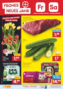 Katzenfutter im Netto Marken-Discount Prospekt "Aktuelle Angebote" mit 62 Seiten (Reutlingen)