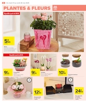 Orchidée Angebote im Prospekt "FÊTE DES MÈRES" von Carrefour Orchidée Angebote im Prospekt "FÊTE DES MÈRES" von Carrefour auf Seite 8