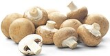 Braune Champignons Angebote bei REWE Soest für 1,59 €