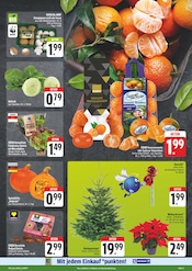 Ähnliche Balkonpflanzen Angebote im Prospekt "Wir lieben Lebensmittel!" von EDEKA in Coburg Ähnliche Angebote wie Balkonpflanzen im Prospekt "Wir lieben Lebensmittel!" auf Seite 3 von EDEKA in Coburg