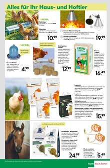 Äpfel im aktuellen BayWa Bau- und Gartenmärkte Prospekt (Würzburg) Äpfel im BayWa Bau- und Gartenmärkte Prospekt "Wunderschne Blütenpracht" mit 16 Seiten (Würzburg)