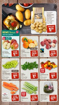 Tomaten im nahkauf Prospekt "nichts liegt näher" mit 12 Seiten (Mainz)