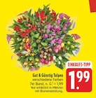 Tulpen Angebote von Gut & Günstig bei EDEKA Zwickau für 1,99 €