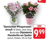 EDEKA Pfinztal Prospekt mit  im Angebot für 9,99 €