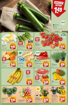 Bananen im REWE Prospekt "Dein Markt" mit 34 Seiten (München)