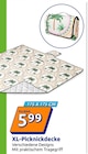 XL-Picknickdecke Angebote bei Action Rosenheim für 5,99 €