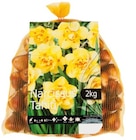 Bulbes de Narcisse en promo chez Lidl Rueil-Malmaison à 5,59 €