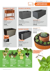 Box im OBI Prospekt in Recklinghausen Aktueller OBI Prospekt mit Box, "BRING FARBE IN DEN GARTEN!", Seite 7