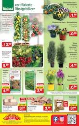 Grill Angebot im aktuellen Zimmermann Prospekt auf Seite 10