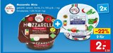 Mozzarella Minis Angebote bei Netto Marken-Discount Trier für 2,00 €