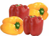 Aktuelles Paprika Angebot bei aktiv & irma in Oldenburg ab 3,49 €