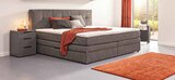Aktuelle Boxspringbett Angebote bei Segmüller in Frankfurt (Main) Aktuelles Boxspringbett „Amy“ Angebot bei Segmüller in Frankfurt (Main) ab 999,00 €