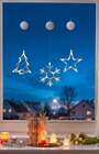 LED-Fensterbild im Angebot bei Penny in Magdeburg LED-Fensterbild Angebote bei Penny Magdeburg für 3,99 €