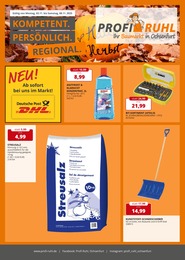 Aktueller Profi Ruhl Baumärkte Prospekt für Tauberrettersheim: KOMPETENT. PERSÖNLICH. REGIONAL. mit 4} Seiten, 03.11.2025 - 08.11.2025