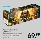 Feuerwerksbatterie 'Pharaoh' im aktuellen Hellweg Prospekt