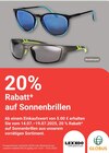 Sonnenbrillen im Angebot bei GLOBUS in Homburg Sonnenbrillen Angebote von LEXXOO bei GLOBUS Homburg