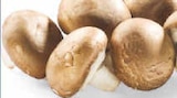Bio Champignon braun Angebote von BioBio bei Netto Marken-Discount Coesfeld für 1,49 €
