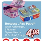 Brotdose „Paw Patrol“ im aktuellen Prospekt bei KiK in Heßheim