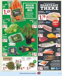 Lachs im aktuellen Marktkauf Prospekt (Bielefeld) Lachs im Marktkauf Prospekt "Aktuelle Angebote" mit 24 Seiten (Bielefeld)