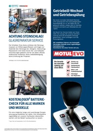 Reis im Bosch Car Service Prospekt "Eine Werkstatt - Alle Marken" auf Seite 10