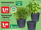 Aktuelle Kräuter Angebote bei Thomas Philipps in Wuppertal Aktuelles Küchenkräuter Angebot bei Thomas Philipps in Wuppertal ab 1,49 €