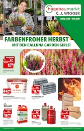 Baumärkte Prospekt von C. J. Wigger KG hagebaumarkt in Ratekau Aktueller C. J. Wigger KG hagebaumarkt Baumärkte Prospekt für Ratekau: FARBENFROHER HERBST mit 2} Seiten, 13.09.2025 - 11.10.2025