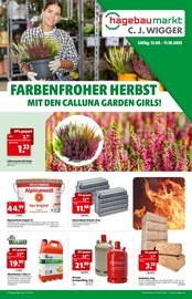Aktueller C. J. Wigger KG hagebaumarkt Baumärkte Prospekt in Lensahn und Umgebung, "FARBENFROHER HERBST" mit 2 Seiten, 13.09.2025 - 11.10.2025