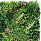 Künstliche Pflanzenwand „Thallo“ Angebote bei Hornbach Potsdam für 40,95 €