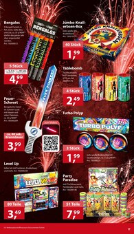 Böller im Sonderpreis Baumarkt Prospekt "20 JAHRE VOLLER ÜBERRASCHUNGEN" mit 20 Seiten (Göttingen)