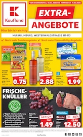 Aktueller Kaufland Supermarkt Prospekt in Salz und Umgebung, "EXTRA-ANGEBOTE" mit 8 Seiten, 05.06.2025 - 11.06.2025