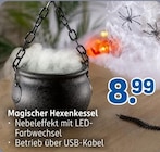 Magischer Hexenkessel  im aktuellen Rossmann Prospekt für 8,99 €